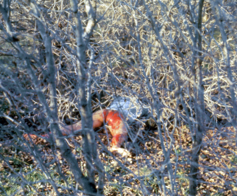 Ana Mendieta, Rape, 1973, photographie, 20.4 x 25.4 cm. © The Estate of Ana Mendieta Collection, LLC